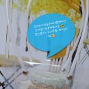 Tea story (티스토리) 이미지