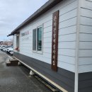 솔올공연장 | 벚꽃 개화 상황 벚꽃명소 추천 내돈내산 실제 방문 후기 + 국가유산 방문코스 여권 경포대 스탬프(도장...