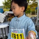 코코 스타디움 이미지