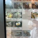 이황식당 이미지