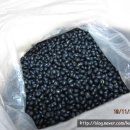 코모 제분기/ komo grain mill 사용후기 / 콩 갈기 / 콩가루