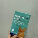 에브리캣 | 페노비스 고양이 유산균 후기 : 페노비스 벳 고양이 유산균