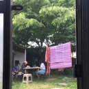 제주에내집 이미지