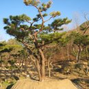 지리산 농장 이미지