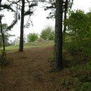 오목천주유소 이미지