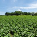 이천농장 이미지