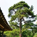 성산정 - 천안시 서북구 | 성산정