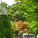 원통생활체육공원 이미지