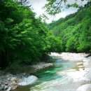 두메토종닭 이미지