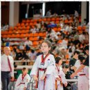 참교육 태권도장 이미지