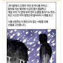삼호짱뚱이 이미지