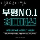 머슬프로짐 | 삼산동헬스장 인천 부평구 헬스 PT pt 피티 머슬프로짐 PT 헬스 가격 이벤트 후기