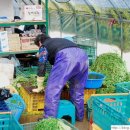 웅이네 농장 이미지