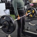 산호동240 이미지