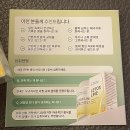 라인 | [다이어트] 뱃살 빼는 법 - 발란스 레톡스라인 후기(feat.브로멜라인)