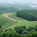 들꽃목장 이미지