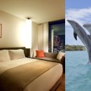 신라스테이 울산 이미지