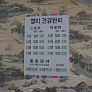 영미 건강관리
