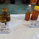 옹달샘 농원
