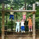 한림성심대학교부속 한림유치원 이미지