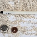 산호사 | 산호사 소포장 1봉으로 만드는 깨끗한 수족관 바닥재 추천!