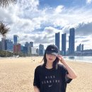 부산동백관광 | 부산 해운대 동백섬 아침 산책 후기, 걷기 좋은 바닷가 산책로 추천! :D