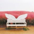 황화목장 이미지