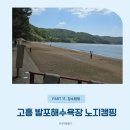 고흥숲속의바다 | 고흥 발포해수욕장에서 보낸 한적한 노지 캠핑의 기록