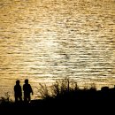 한강 산책 이미지