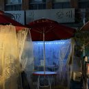 신천경로당 | 잠실새내 신천포차 재방문 후기 : 제철 쭈꾸미, 호래기 회 꼴뚜기