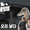 큐티편의점