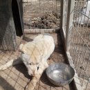 대치3길 이미지