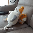 다희네일 - 달서구 | 다희네일