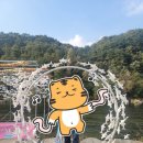 미친서각마을 축제장 | 2025년 제12회 횡성한우축제 먹걸리 놀거리 볼거리 어땠을까?