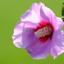 송 행정사사무소 이미지