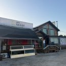 더마싯는칼국수 | 내돈내산 존맛주의!! 최피디해물칼국수 본점 재방문각