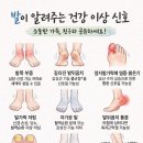 발이 알려주는 건강 이상 신호 8가지｜발 부종·발 저림·차가운 발 원인 체크 이미지