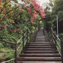 심신한방신경정신과한의원 이미지