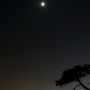 일산동 일산소공원 이미지