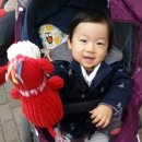 수민동물병원 이미지