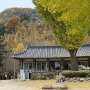 원효유치원 | [남양주] 묘적사 템플스테이 솔직 후기