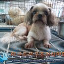 신방화역 6번출구 이미지