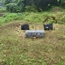 무주장의사 이미지