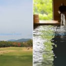 청원국제여행사