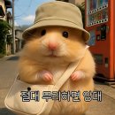 고성 | 고성가리비직판장 장도호 후기