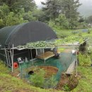 백동농장 이미지