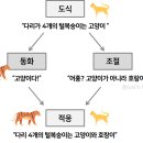 사회복지사 1급 이론 - 인간행동과 사회환경 이미지