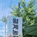 월계농장 이미지