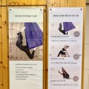 대성엠케어 | 강남 대치동 요가 엠케어요가&amp;월필라테스 추천