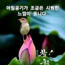 8월24일(목)서울방~[사랑으로 바라보면] 이미지